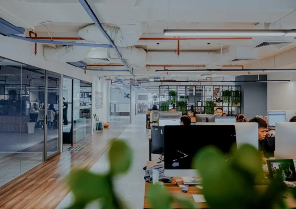 CodeLink team member